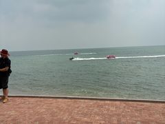 -日照海滨国家森林公园