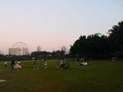 -万绿园
