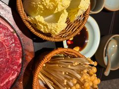 -季季山·云南野生菌火锅(上海首店)