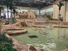 -庐山西海国际温泉度假村
