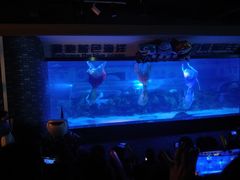 -成都浩海立方海洋公园