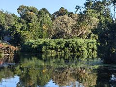 -墨尔本皇家植物园