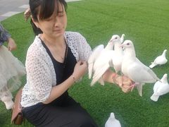 -IPARK购物中心