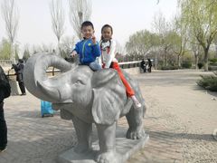 -辛玛王国游乐园