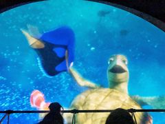 -海底巡游艇:尼莫和好友的海洋世界