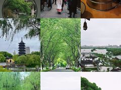 -拙政园