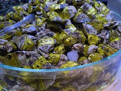 -聚盛源蒸汽海鲜火锅烤肉自助(巨川金海岸购物广场店)