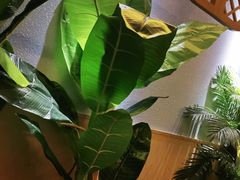 -富侨养生(康乾店)