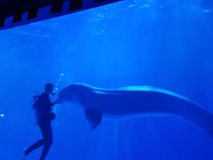 -多彩贵州城极地海洋世界