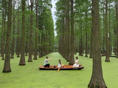 -渌洋湖湿地公园