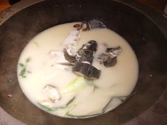 -咕嘟草帽鱼·牛奶一样的鲜鱼汤(天鹅湖万达广场店)