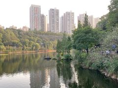 -重庆彩云湖湿地公园