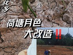 -三圣花乡旅游区