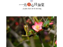 -塔子山公园