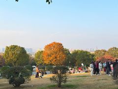-南京市江宁方山