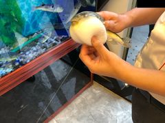 -肆月河豚·新淮扬(金融街店)