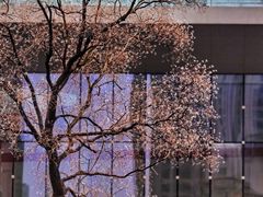 -静安雕塑公园