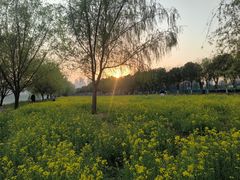-汉江湾体育公园