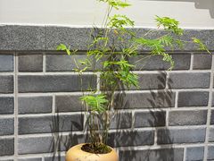 -菩提素健康自助素食馆