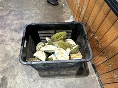 -SS2 榴梿鲜生