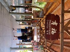 -海南槟榔谷黎苗文化旅游区