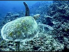 -塞班岛国际机场