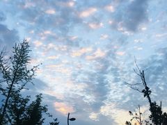 -洨河生态公园