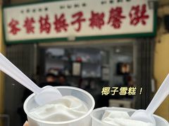 -洪馨椰子