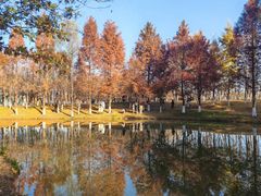-西安浐灞国家湿地公园