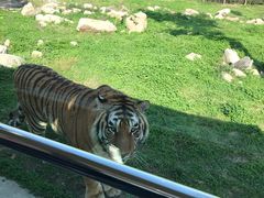 -西安秦岭野生动物园