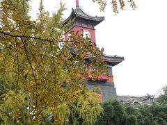 -四川大学(华西校区)