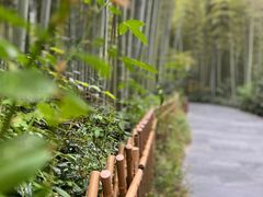 -高老庄·老溧阳·私房菜(南山竹海店)