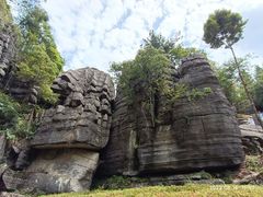 -梭布垭石林景区