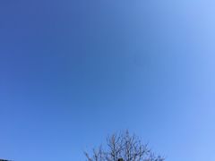 -守柴炉烤鸭(成都大邑店)