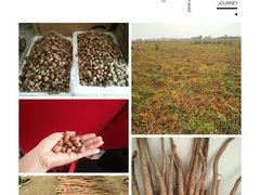 -解家河南菜(商鼎路店)