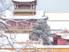-故宫博物院(故宫)