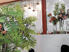 -共舞时光猫咖·狗咖(新街口店)
