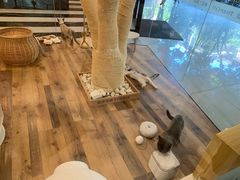 -袖虎·猫馆(体育西路店)