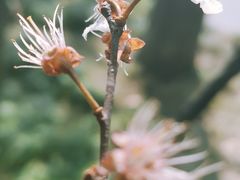 -嘉北郊野公园