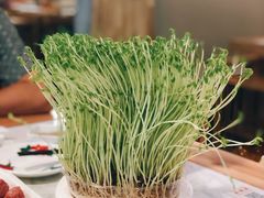 -广顺鑫猪肚鸡(经八路店)