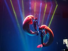 -芜湖新华联大白鲸海洋公园