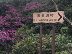 -南丫岛
