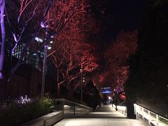 -新辣道鱼火锅(领展购物广场·中关村店)