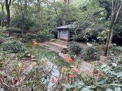 -杭州动物园