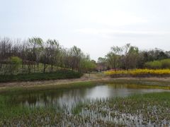 -北坞公园