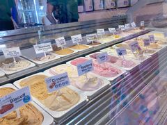 -Dooley's Premium Ice Cream