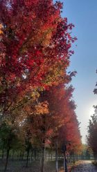 -Oasis Beauty水磨坊科技美肤中心