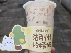 -猫的魔法密林(衣裳街店)