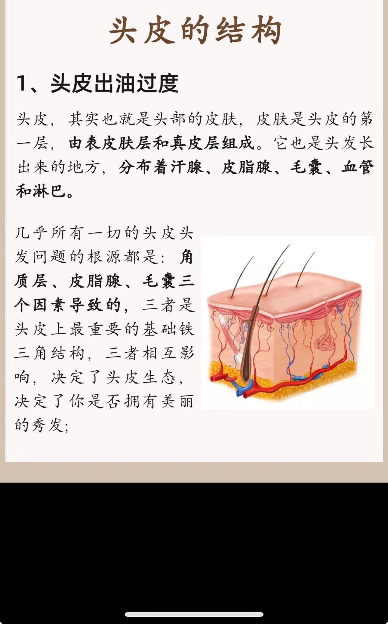 一分钟了解头皮结构
头皮是
