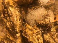 -上清·三文鱼鲜寿司(同德店)